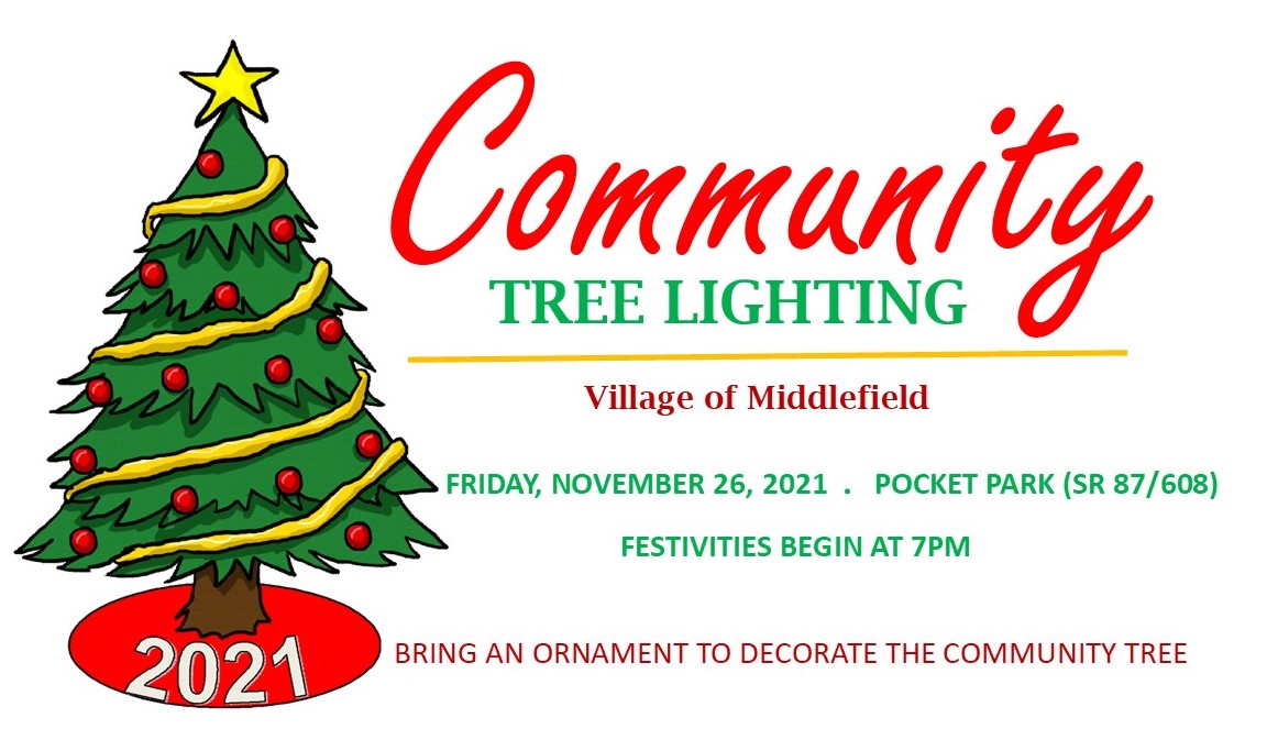 Community Tree Lighting Village of Middlefield, Ohio